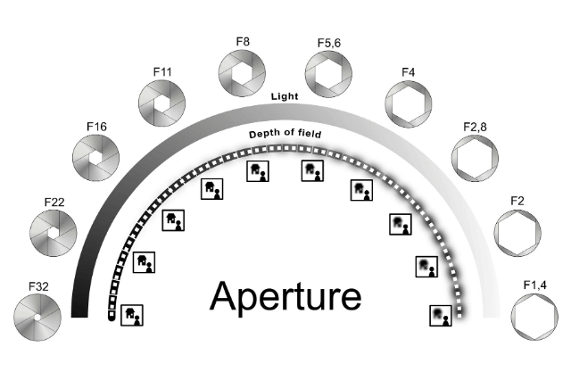 Exposure Triangle: Aperture effect on depth of field
